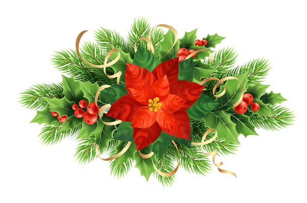 Red poinsettia flower realistic illustration - Vector, Image