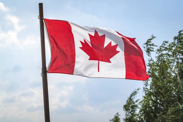 Canada flag on a flagstaff with the flag waving in the wind - Fotoğraf, Görsel