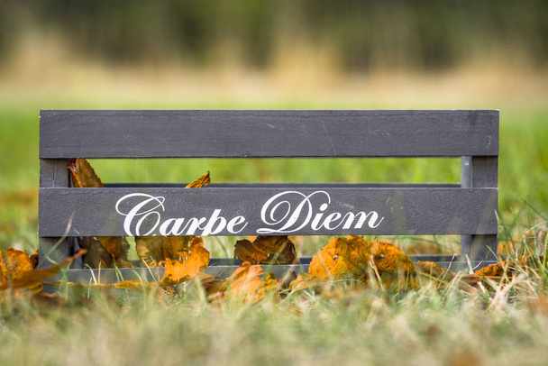 Ξύλινο κουτί με τη φράση το Carpe Diem το φθινόπωρο φύση - Φωτογραφία, εικόνα