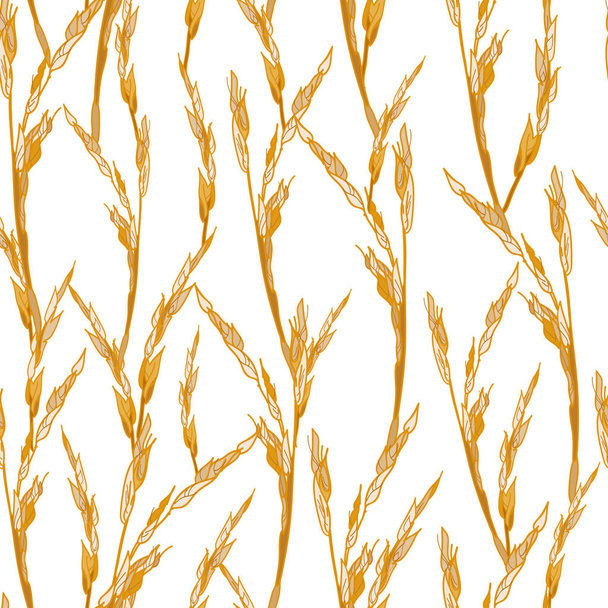 Vegetable seamless pattern of interlaced ears of corn grass. - Photo, Image