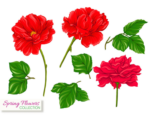 Set of spring flowers. Colorful realistic vector illustration - Vektor, kép