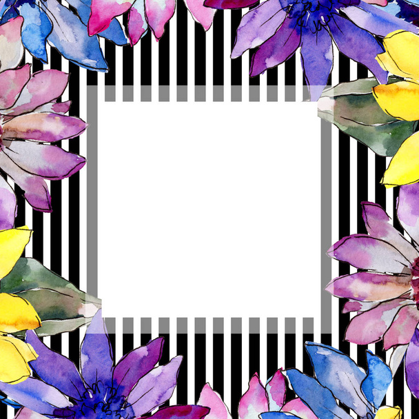 水彩のカラフルなアフリカ デイジーの花。花植物の花。フレーム枠飾りスクエア. - 写真・画像