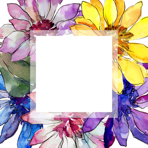 Watercolor colorful african daisy flower. Floral botanical flower. Frame border ornament square. Aquarelle wildflower for background, texture, wrapper pattern, frame or border. - Foto, Imagem