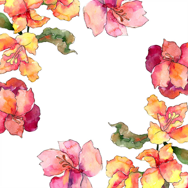 Sulu boya renkli alstroemeria çiçek. Botanik çiçek. Çerçeve kenarlığı süsleme Meydanı. Arka plan, doku, sarıcı desen, çerçeve veya kenarlık için Aquarelle kır çiçeği. - Fotoğraf, Görsel