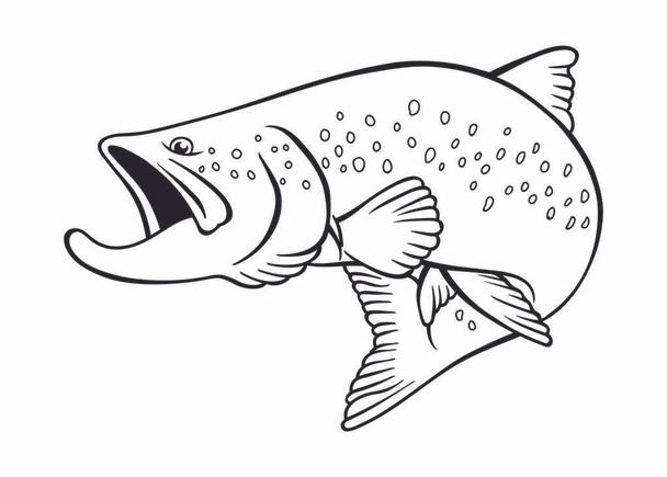 白い背景のイメージ鮭魚 - ベクター画像