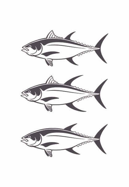 Thunfisch Bild auf dem weißen Hintergrund - Vektor, Bild