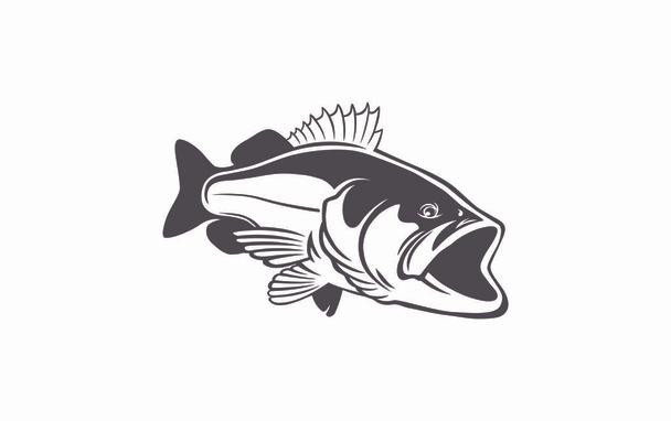 Bassfisch Bild auf dem weißen Hintergrund - Vektor, Bild