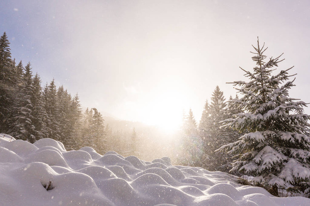 Winter mountain scenery, with fresh snow, on a bright, sunny, day - Photo, Image