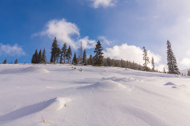 Красивые зимние пейзажи в мутанах со свежим снегом и еловым лесом
 - Фото, изображение