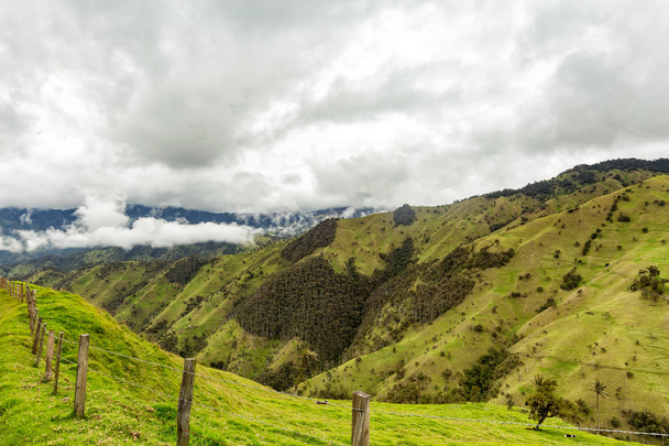Kerítések eltűnnek a távolba, a hegyekben kívül Salento, Kolumbia.  - Fotó, kép