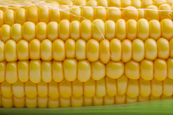 Friss kukorica közelről Háttér - Fotó, kép