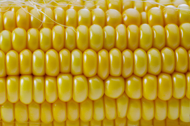 érett sárga kukorica, mint egy textúra, sárga természet háttér - Fotó, kép