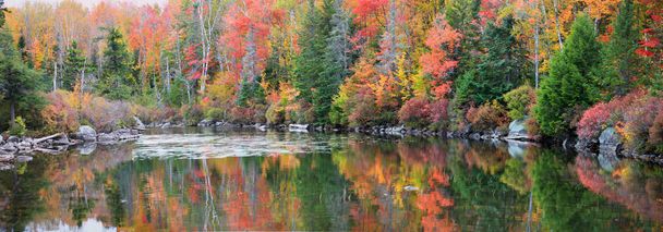 Brillantes reflejos de árboles otoñales en Vermont
 - Foto, imagen