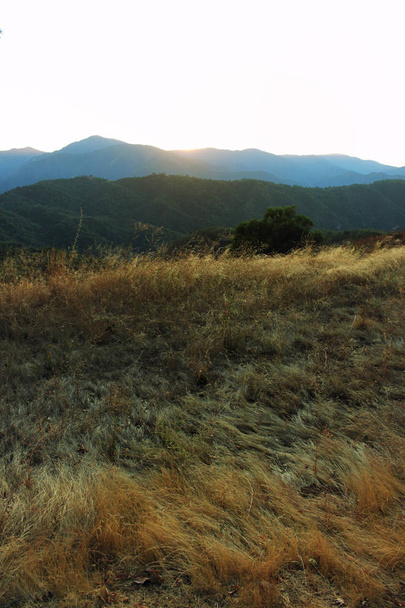 Coucher de soleil dans la forêt nationale de Los Padres
 - Photo, image