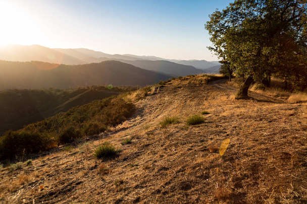 Promienie Boga w pobliżu Carmel Valley, California. - Zdjęcie, obraz