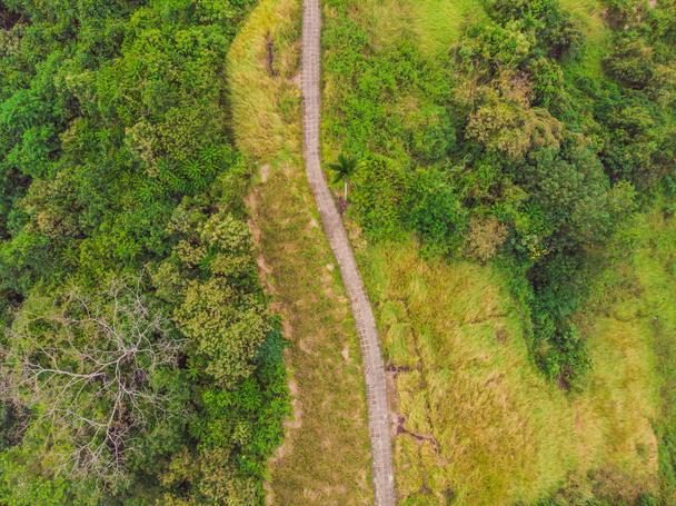 Aerial view of Campuhan Ridge Walk, Ubud, Bali, Indonesia - 写真・画像