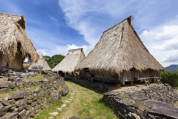 Thatched roofs of traditional houses in the Wologai village near Kelimutu in East Nusa Tenggara, Indonesia. - Photo, Image