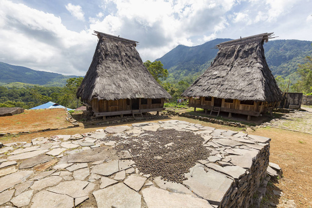 Café orgânico de flores que seca em lajes de pedra na aldeia tradicional de Wologai perto de Kelimutu em East Nusa Tenggara, Indonésia
. - Foto, Imagem