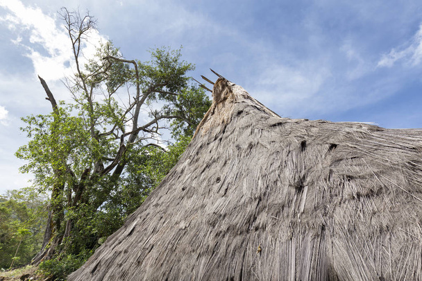 Thatched çatı ayrıntılı bir görünümünü Wologai köyü yakınındaki Kelimutu Doğu Nusa Tenggara, Endonezya geleneksel bir evde üzerinde. - Fotoğraf, Görsel
