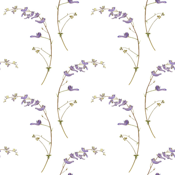 seamless pattern with watercolor drawing plants - Zdjęcie, obraz
