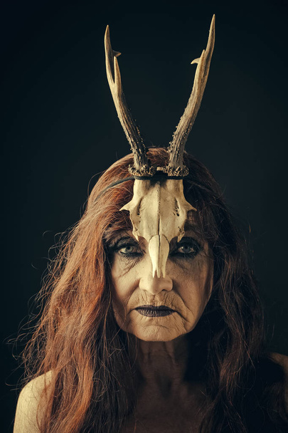 halloween old woman with long red hair in antler - Foto, afbeelding