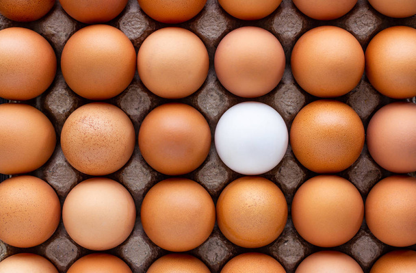 Chicken eggs and a duck egg in paper tray. - Photo, Image