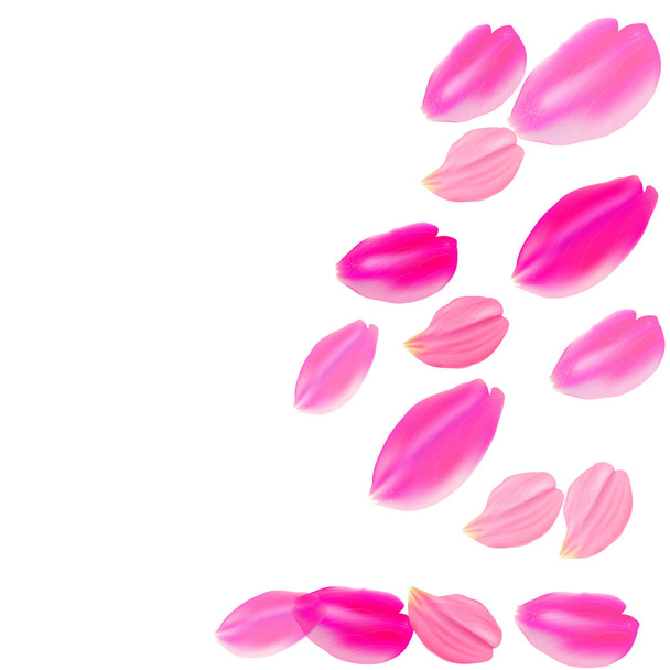 Vector illustratie. Set roze rozenblaadjes. Witte achtergrond - Vector, afbeelding