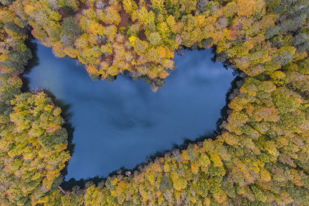 Aerial Photo of a Heart Shaped Lake Surrounded with Autumn Colored Forest Seven Lakes National Park Bolu Turkey - Valokuva, kuva