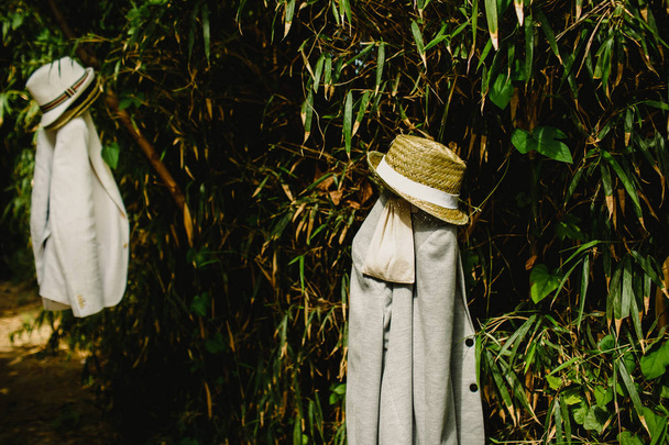 Костюм и шляпа человека висят на дереве во время летнего события
. - Фото, изображение