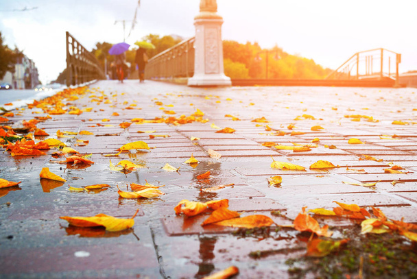 Close-up of a wet pavement after the rain with yellow fallen leaves and blurred city with people on the background with sunlight - Photo, image