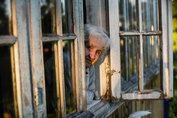 An elderly woman looks from the window of the farmhouse. - Zdjęcie, obraz