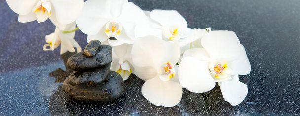 Flores de orquídeas blancas y piedras de spa. Fondo de spa
. - Foto, imagen