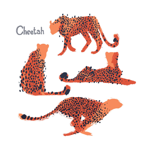 Colección gráfica de guepardos dibujados con pincel áspero
 - Vector, Imagen