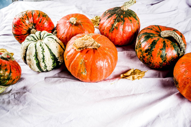 Autumn harvest, homemade organic little pumpkins on a table, on a linen tablecloth background, - Photo, image