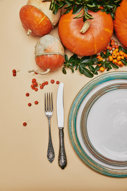 verhoogde weergave van feestelijke tafel en pompoenen met bessen van de Vuurdoorn voor thanksgiving day - Foto, afbeelding