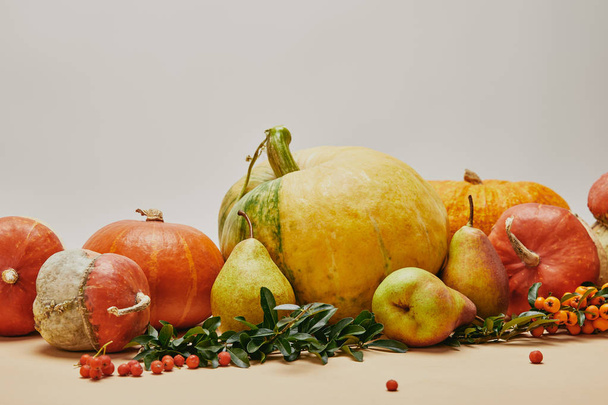 autumnal decoration with pumpkins, pyracantha berries, pears and green leaves on table - Photo, Image