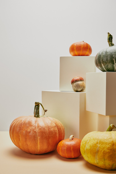 autumnal decoration with small and big pumpkins on cubes and table - Φωτογραφία, εικόνα