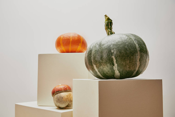 autumnal decoration with pumpkins on cubes isolated on white - Valokuva, kuva