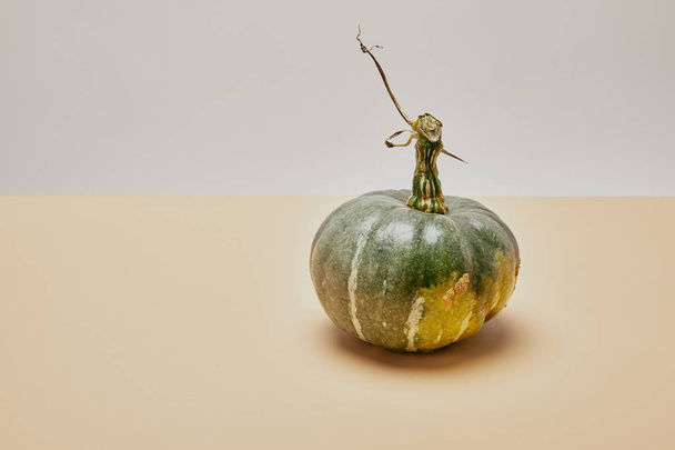 one ripe green pumpkin on beige table - Φωτογραφία, εικόνα