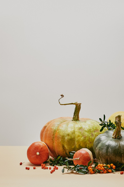 still life with green leaves, pumpkins and firethorn berries on table - Photo, Image