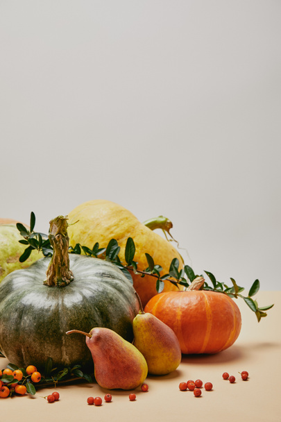 autumnal decor with different pumpkins, pears and firethorn berries on table - Photo, image