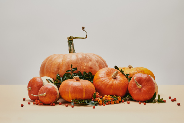 orange pumpkins and firethorn berries on table as autumnal decor - Foto, afbeelding