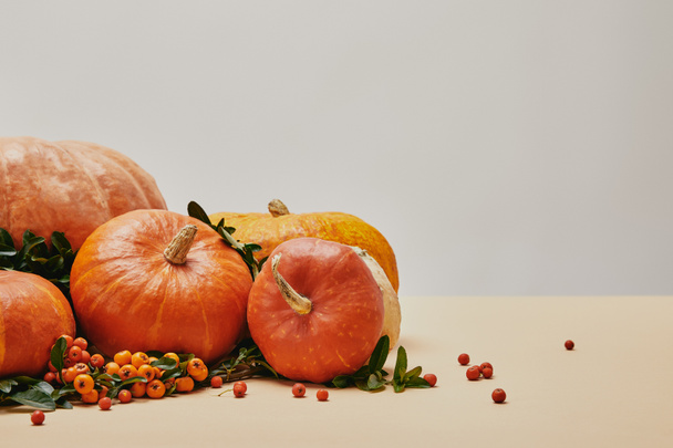 podzimní dekorace s dýní a šarlatová bobule na béžové stůl - Fotografie, Obrázek