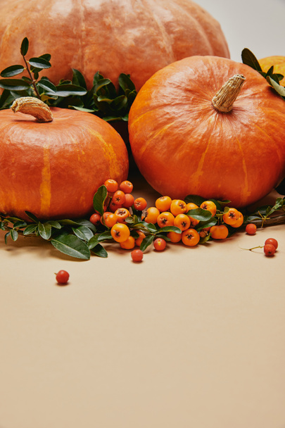 herfst decoratie met pompoenen en bessen van de Vuurdoorn op tafel - Foto, afbeelding