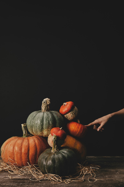 cropped image of woman touching pumpkins on table, halloween concept - Photo, image