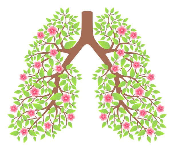 lungs healthy - Vector, Image