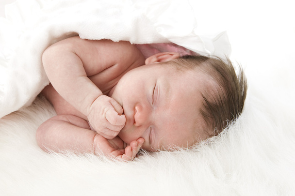 alvó újszülött - Fotó, kép