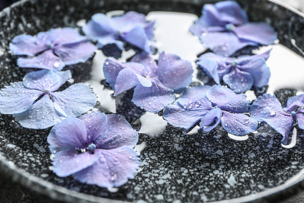 Plate with beautiful hydrangea flowers and water, closeup - Foto, Bild