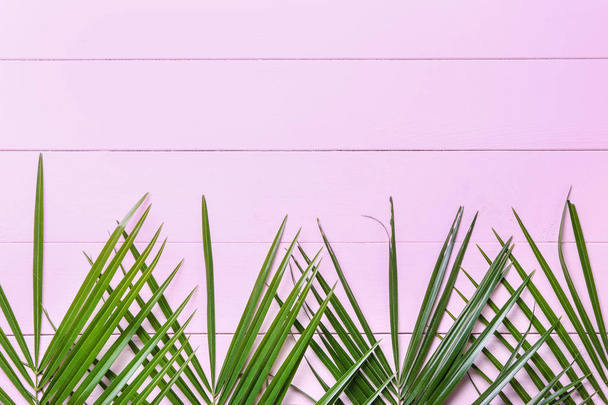 Hojas de palma tropical sobre fondo de madera de color
 - Foto, Imagen