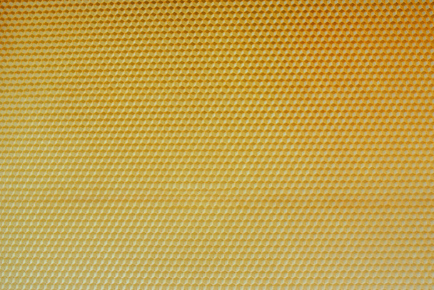 honey comb with honey as a background . - Foto, Imagem